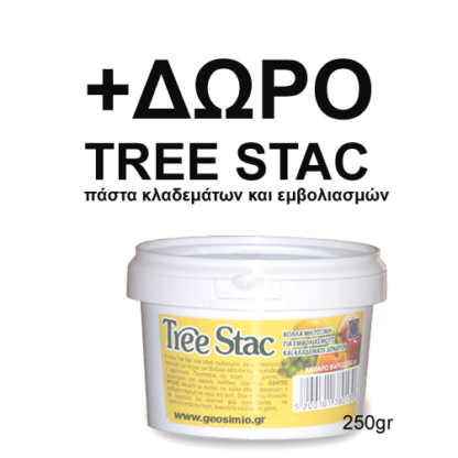 ΔΩΡΟ TREE STAC